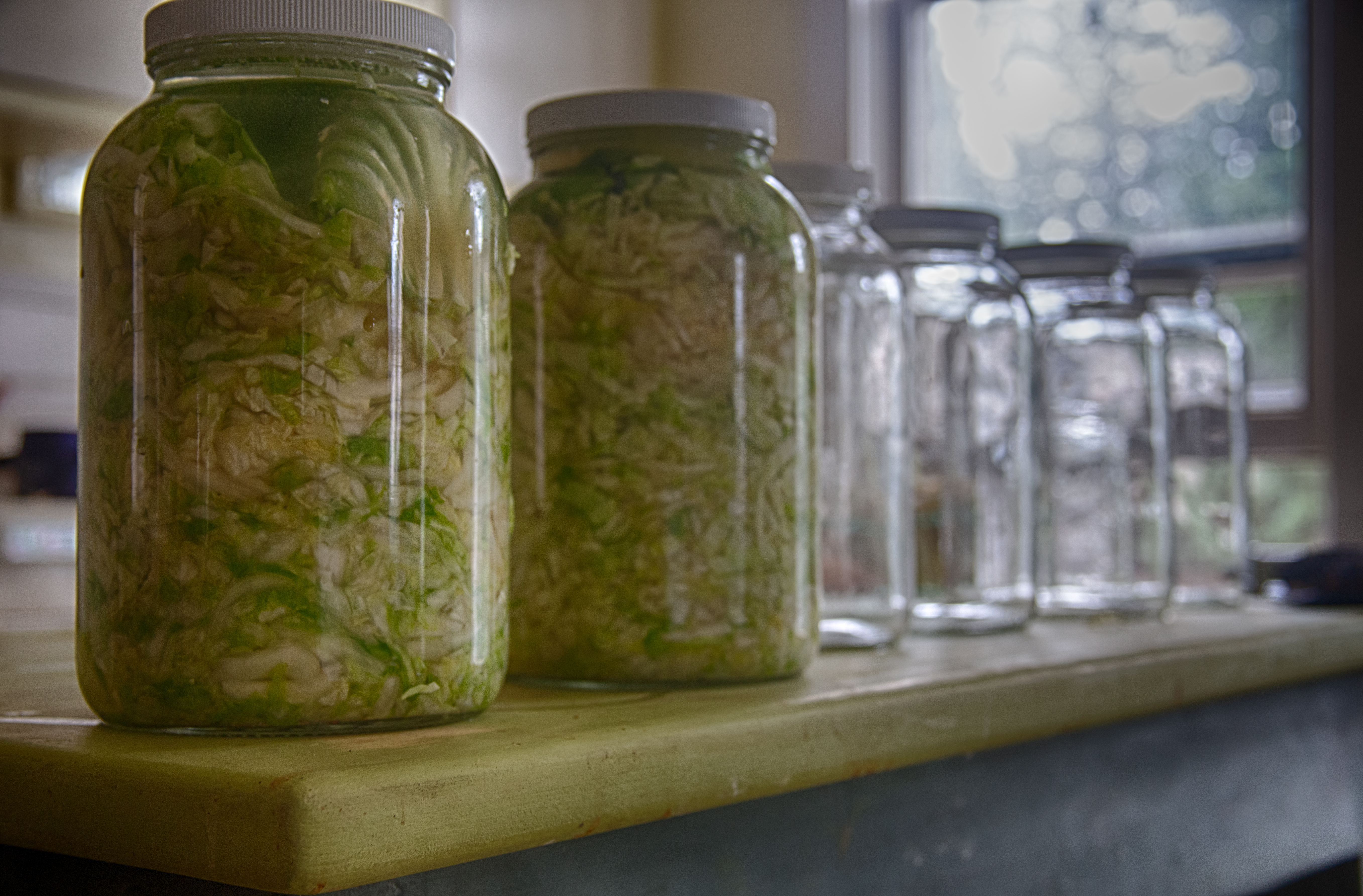 Cabbage Harvest 2026